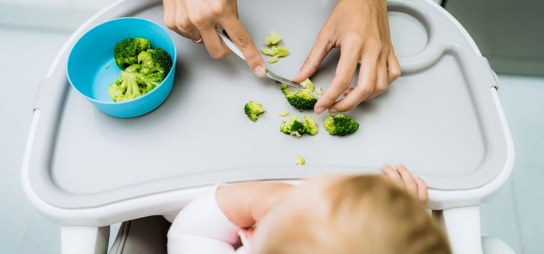 How to Start Weaning: Baby-led Weaning vs Purees