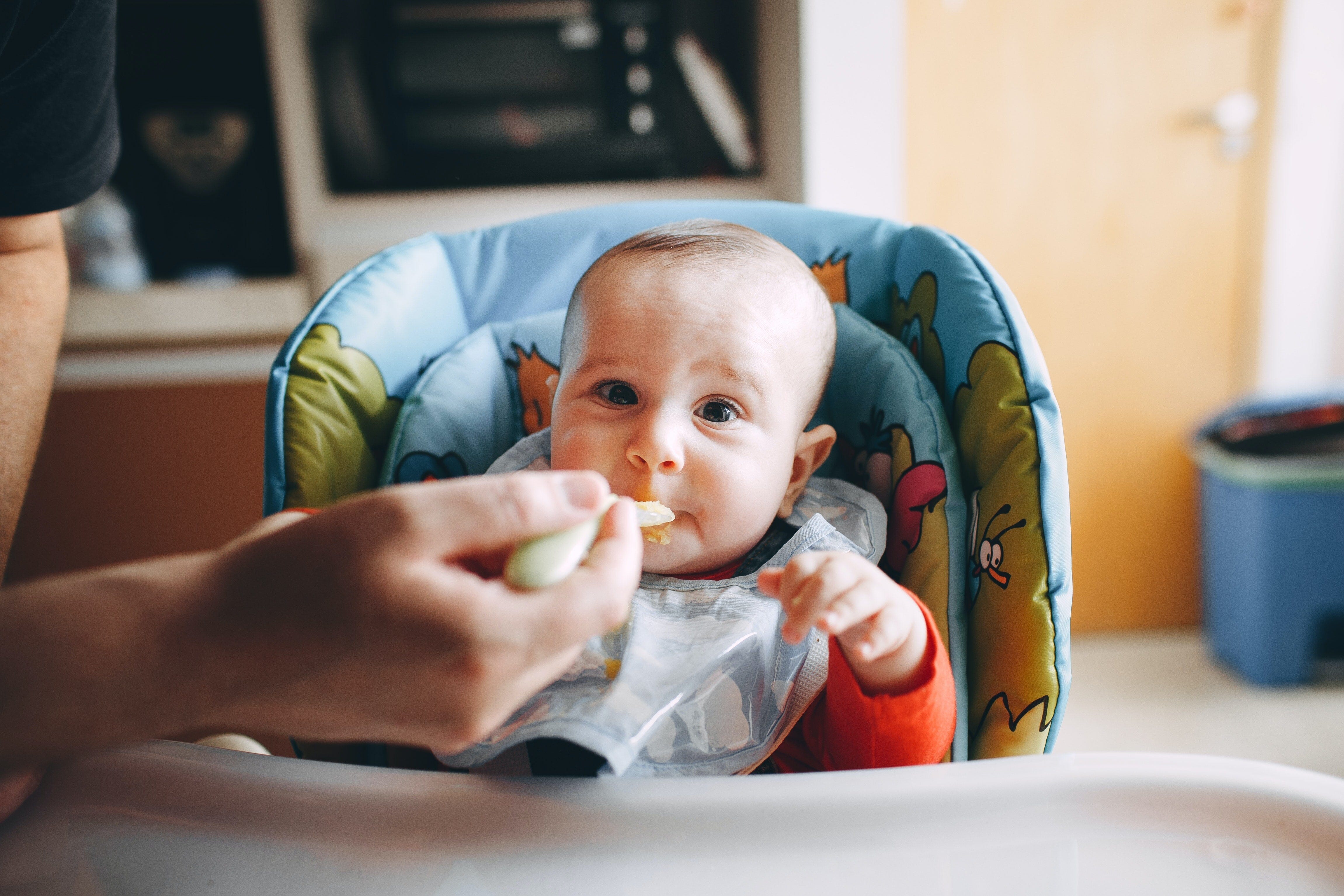 How to Start Weaning: Baby-led Weaning vs Purees