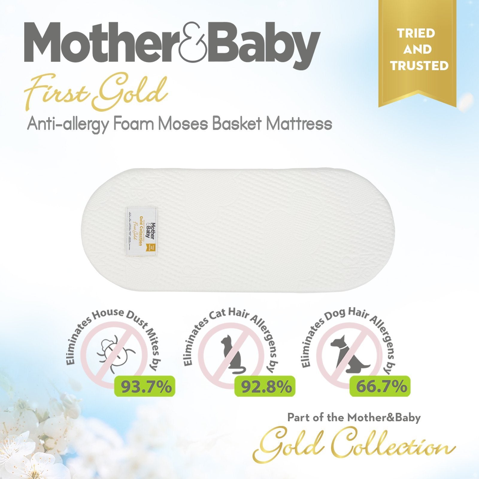 Mother&Baby First Gold Anti-Allergy Foam Moses Basket Large 75 x 28cm Mother & Baby 